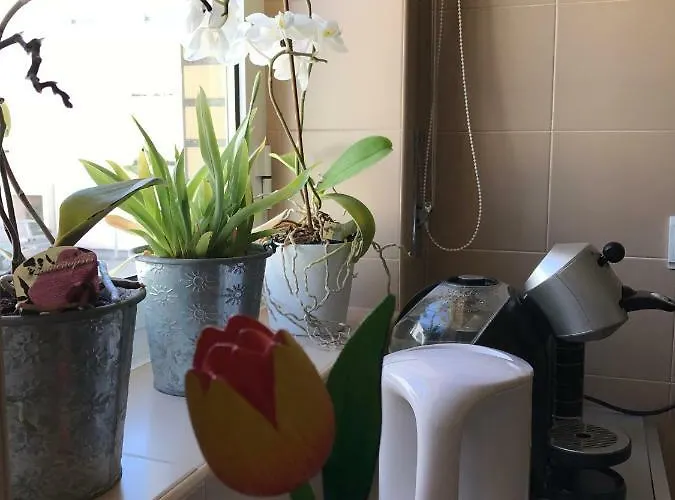 Varandas Da Sandia * Vila Praia de Âncora