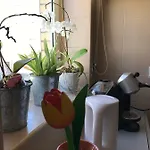 Varandas Da Sandia * Vila Praia de Âncora